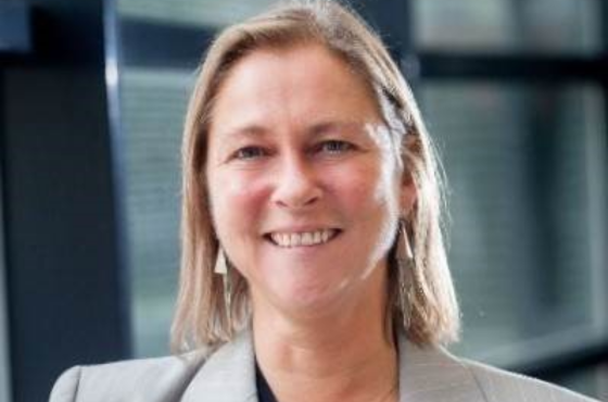 Susan Stanworth valuta risico
