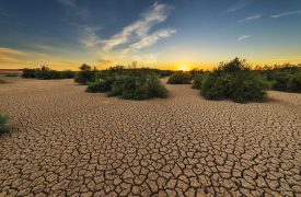 Klimaat-stress hitegolf