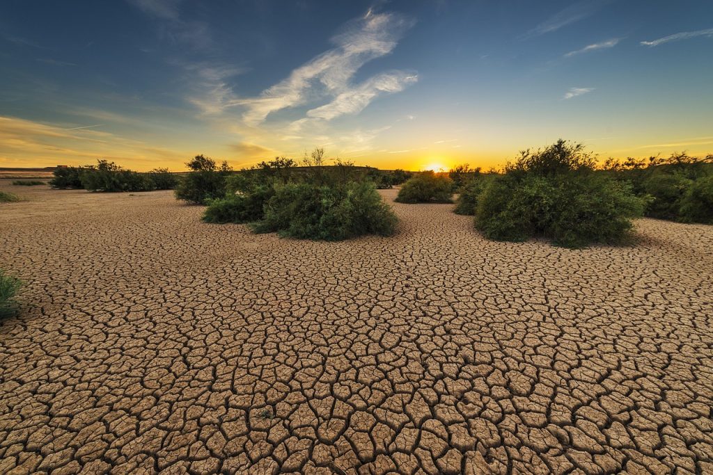 Klimaat-stress hitegolf