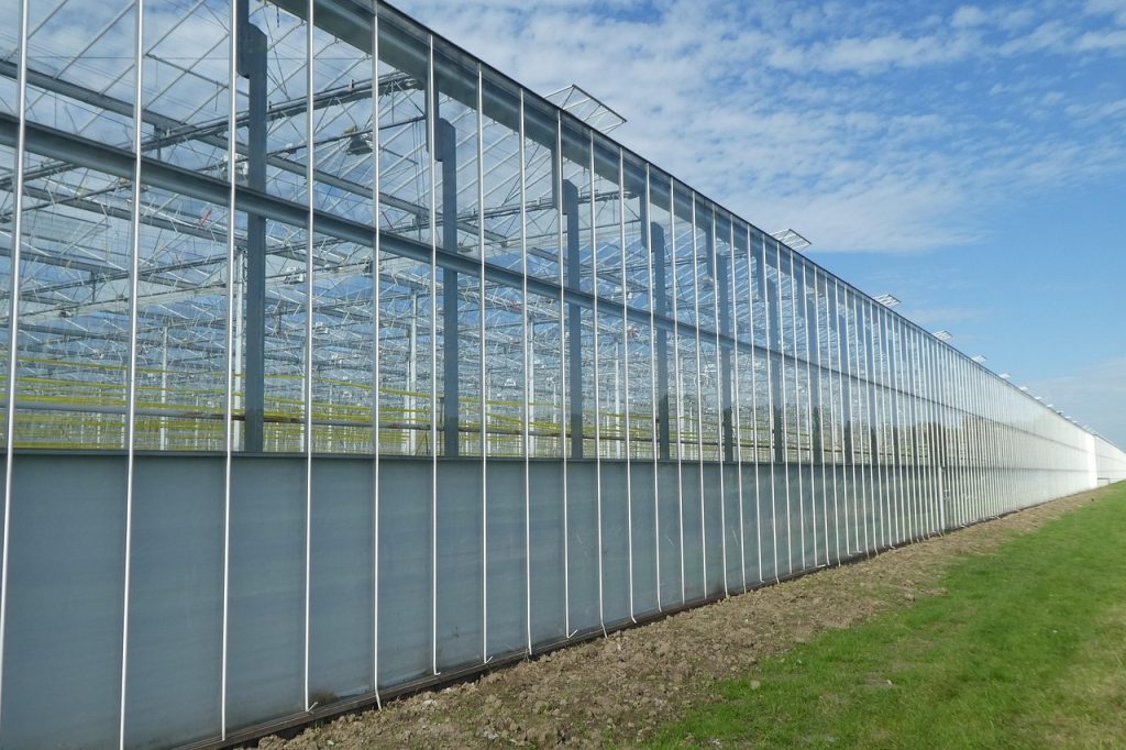 Glastuinbouw